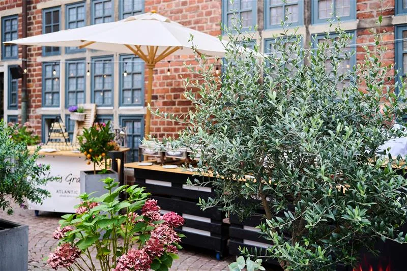 Restaurant alto — atmosphere