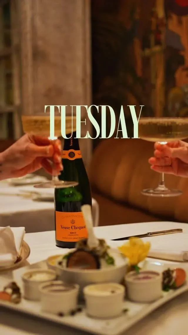 Wally's Desert Turtle — photo 15