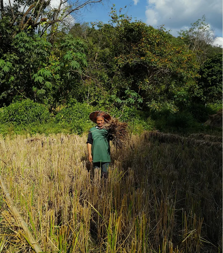 Baan Tepa — photo 18