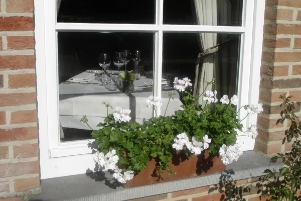 De Loteling — photo 5