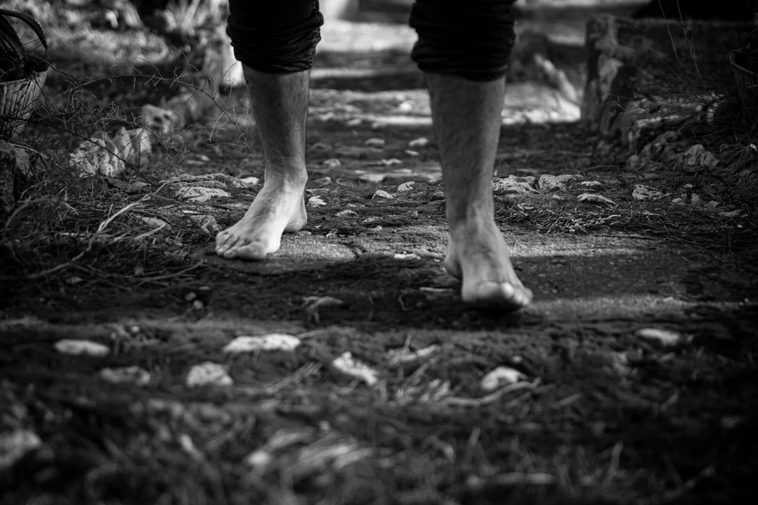 Ferran Cerro — photo 30