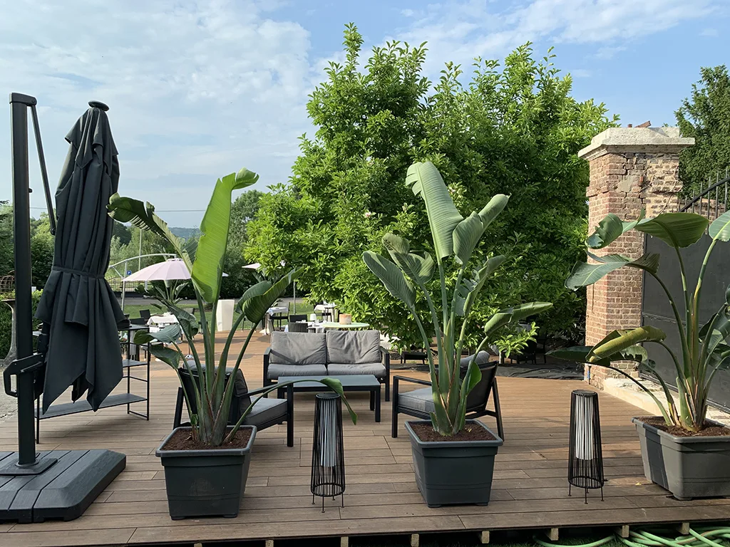 L'Auberge de la Pomme — photo 13