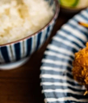 Tonkatsu KATSU Hana — food