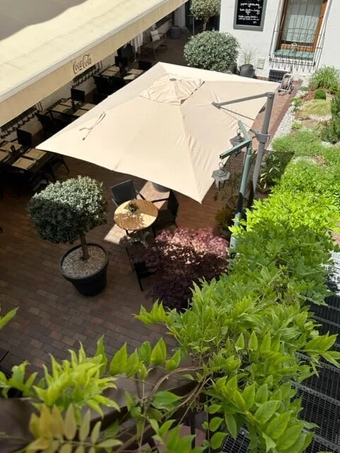 Rango restaurace — photo 14
