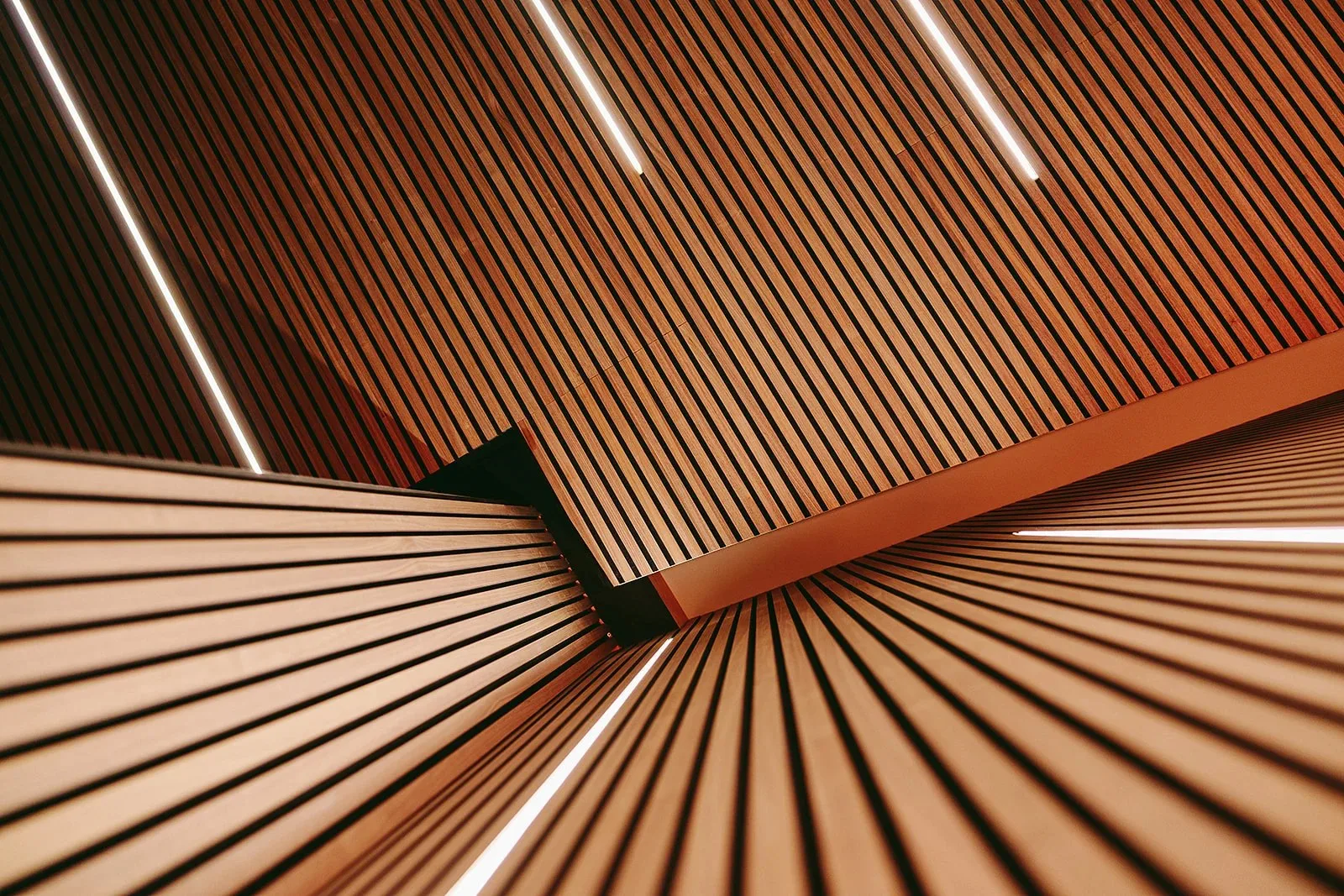 Home by James Sommerin — photo 55