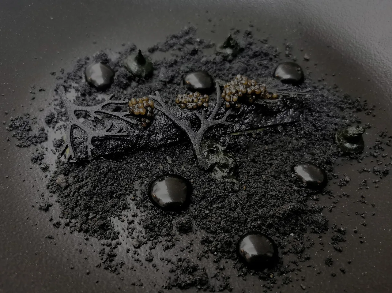 Alexis Baudin — photo 9
