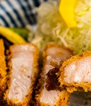 Tonkatsu KATSU Hana — photo 5