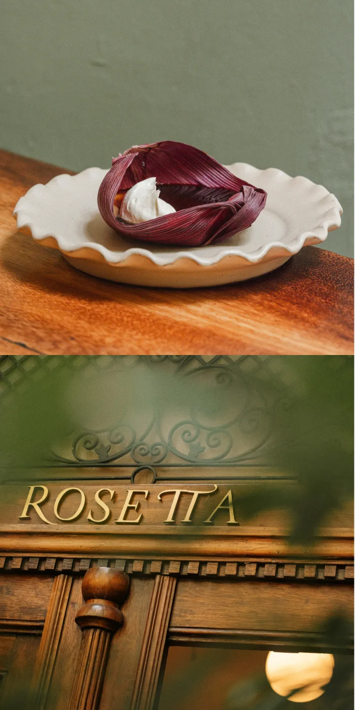 Rosetta — photo 8