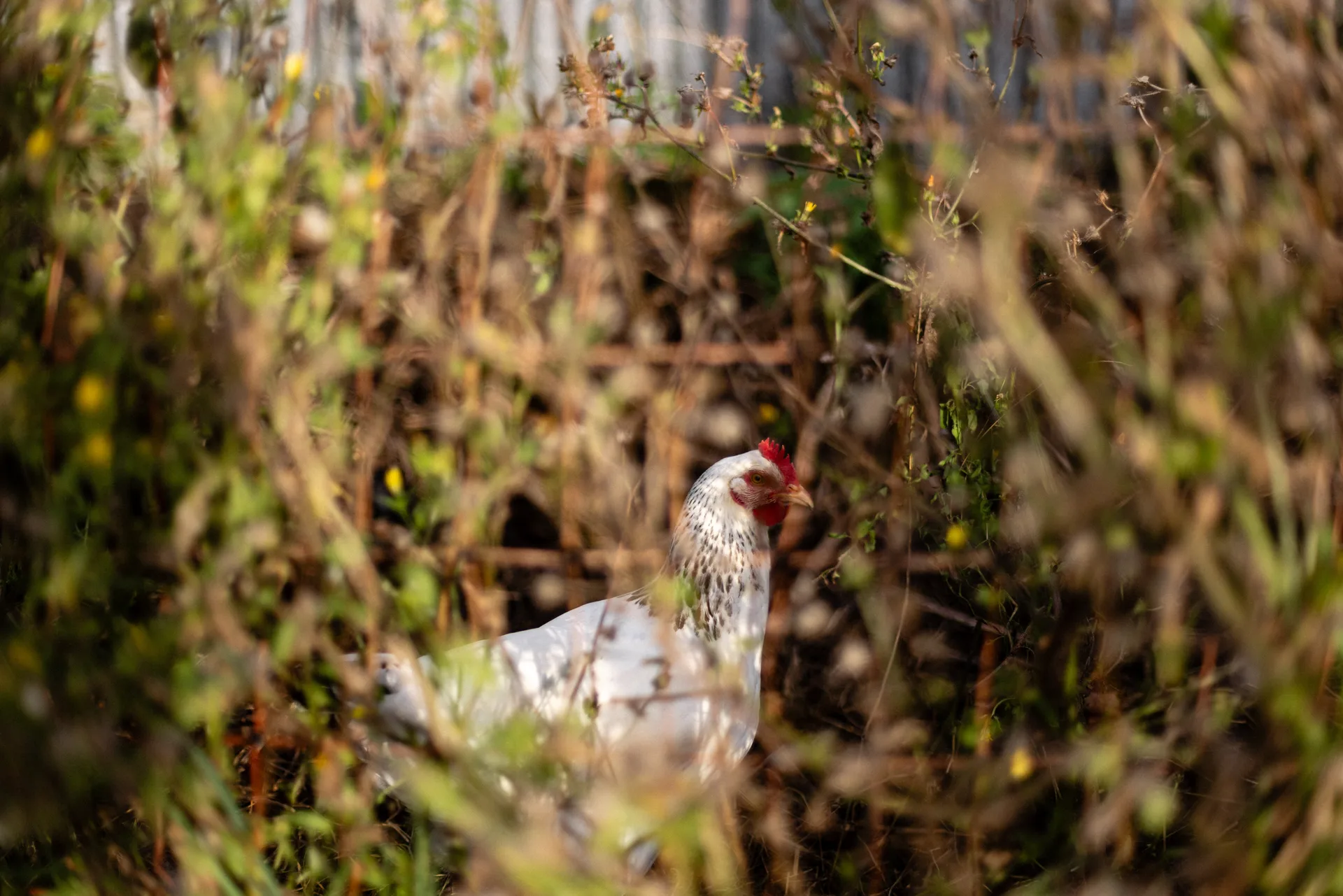 Les Jardins de la Matz — photo 17