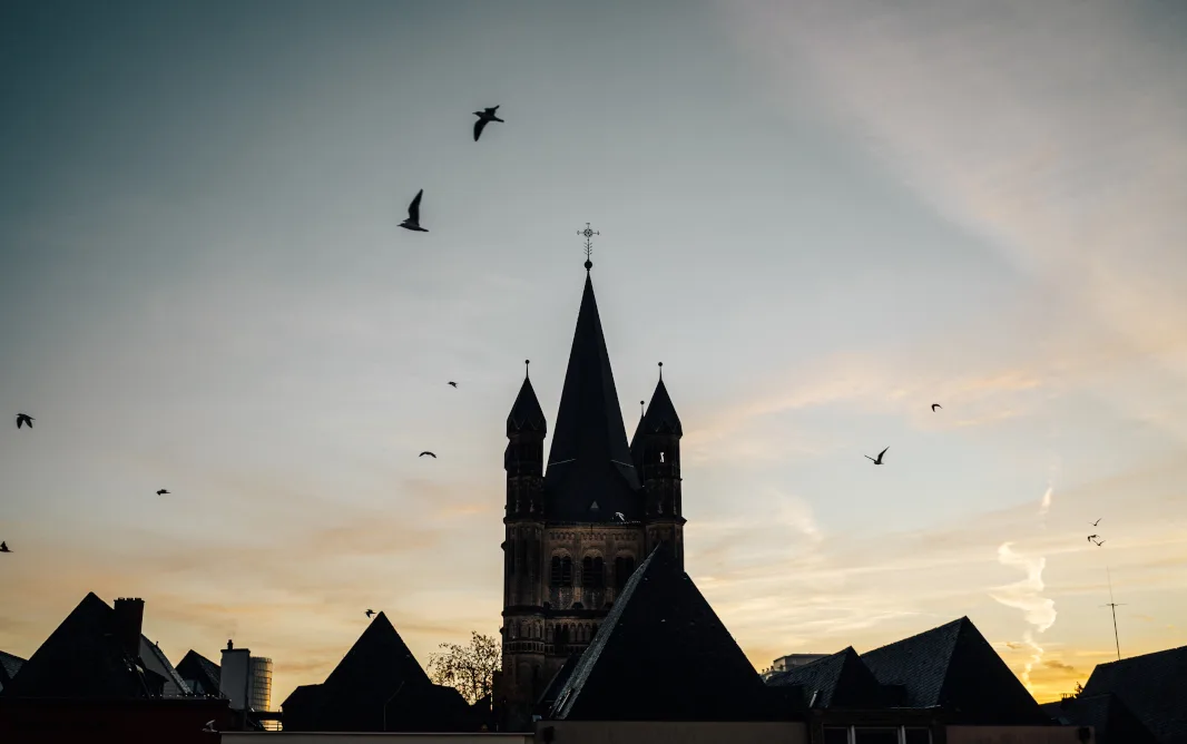 PULS — photo 12
