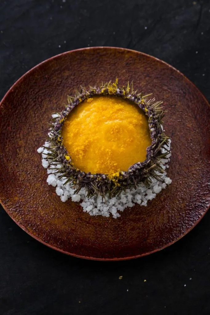 Restaurant Sola — photo 84