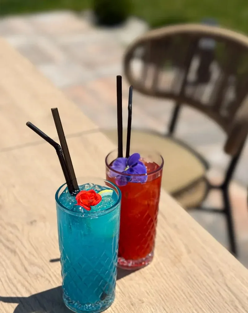RESTORAN CVETA — drink