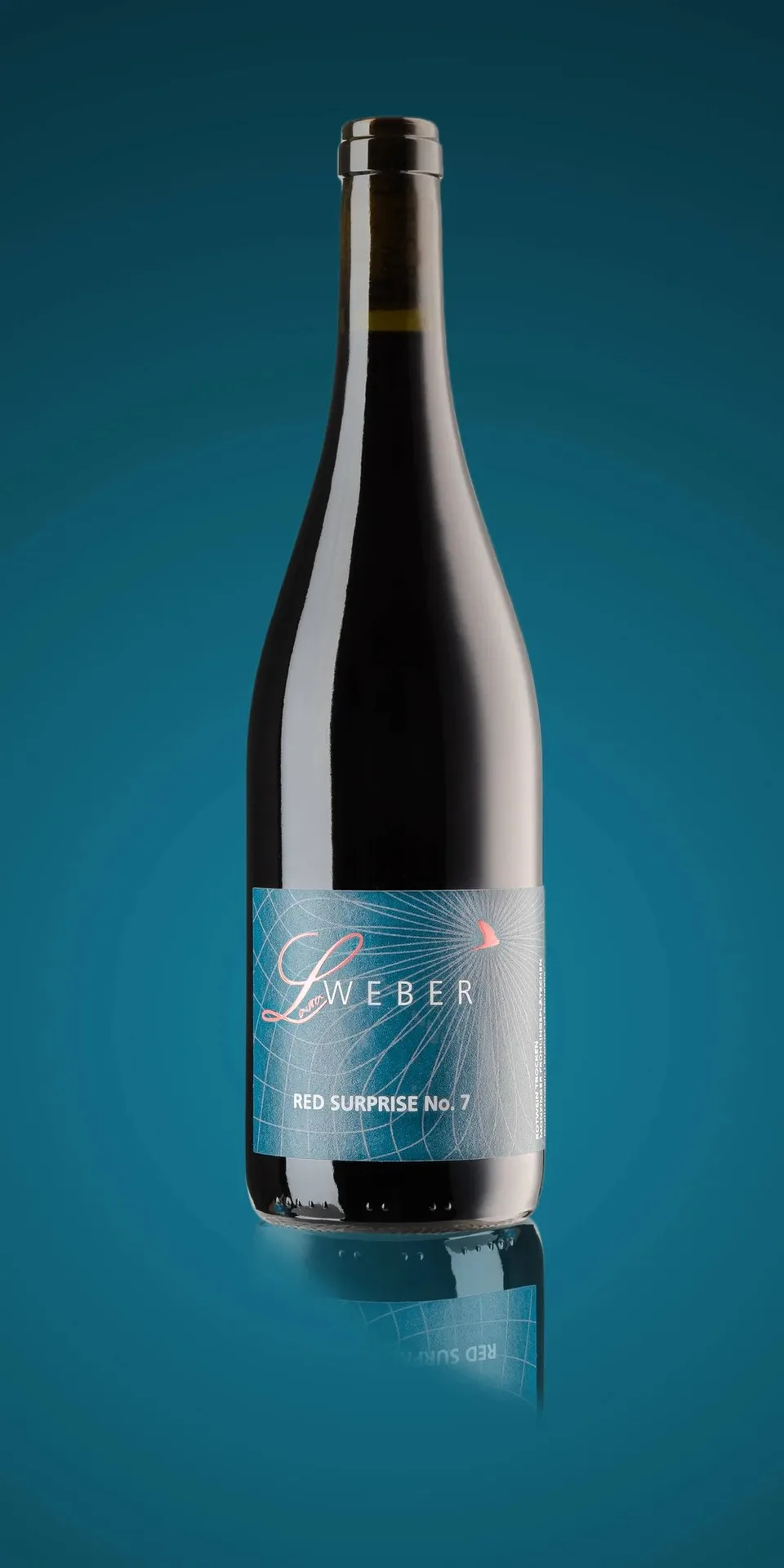 Weingut Weber — photo 25