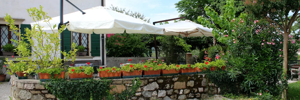 Ai Pini — photo 6