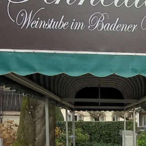 Schneider’s Weinstube im Badener Weinkeller — photo 14