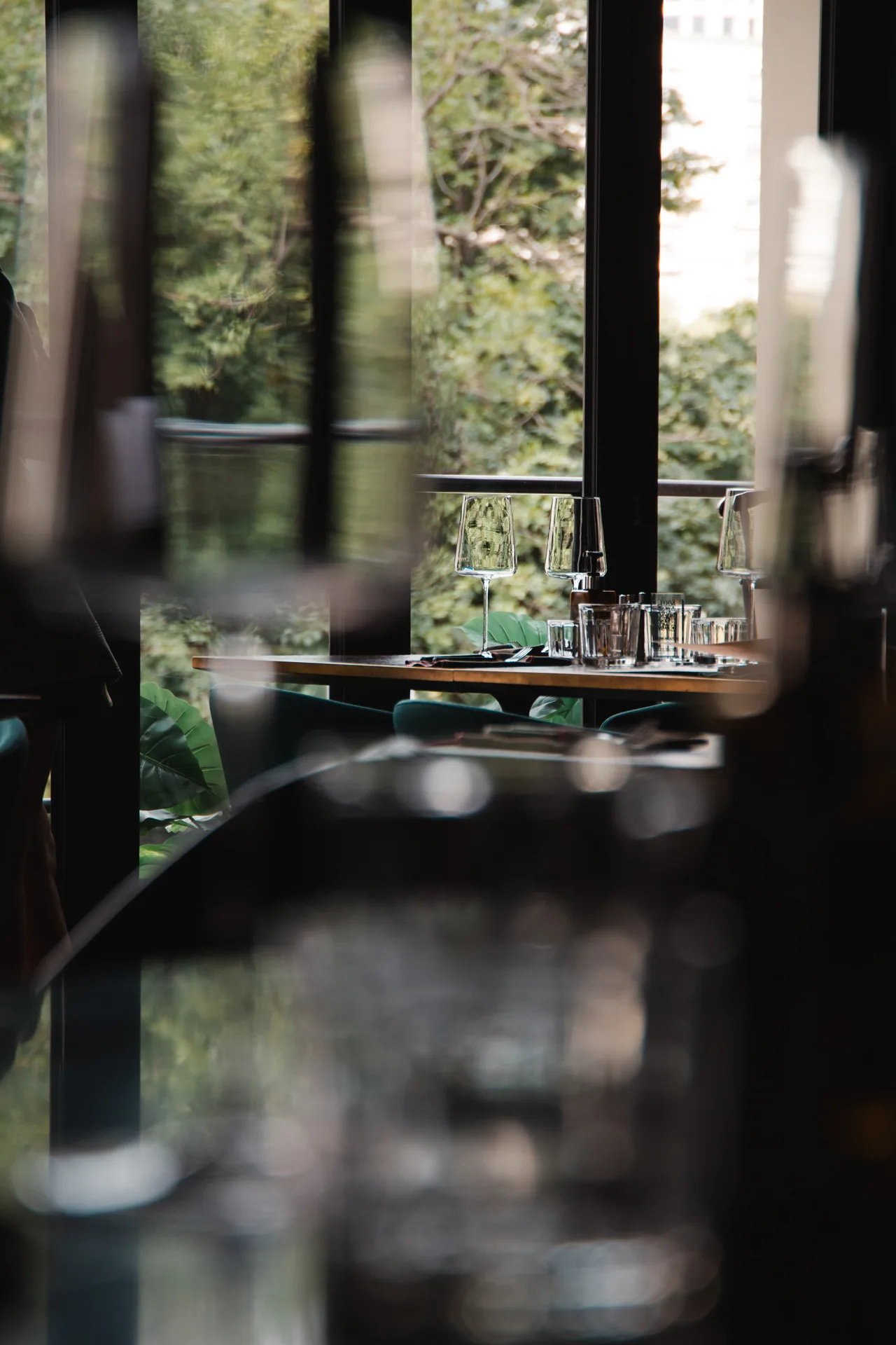Evolution Bistro & Bar — photo 21