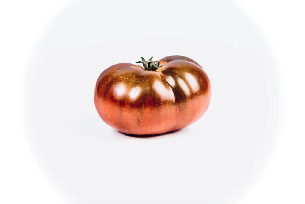 Gem42 — food