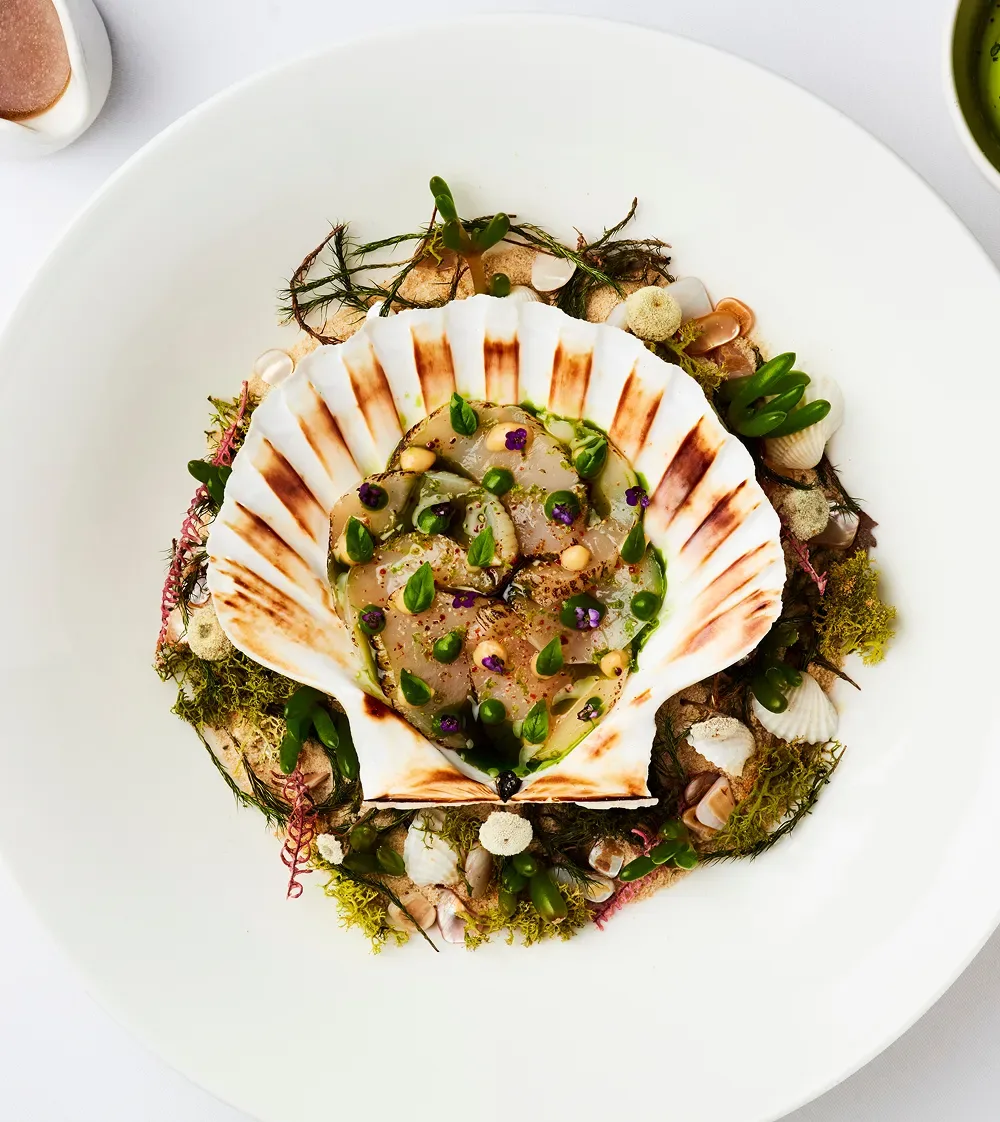 Cord by Le Cordon Bleu — photo 22