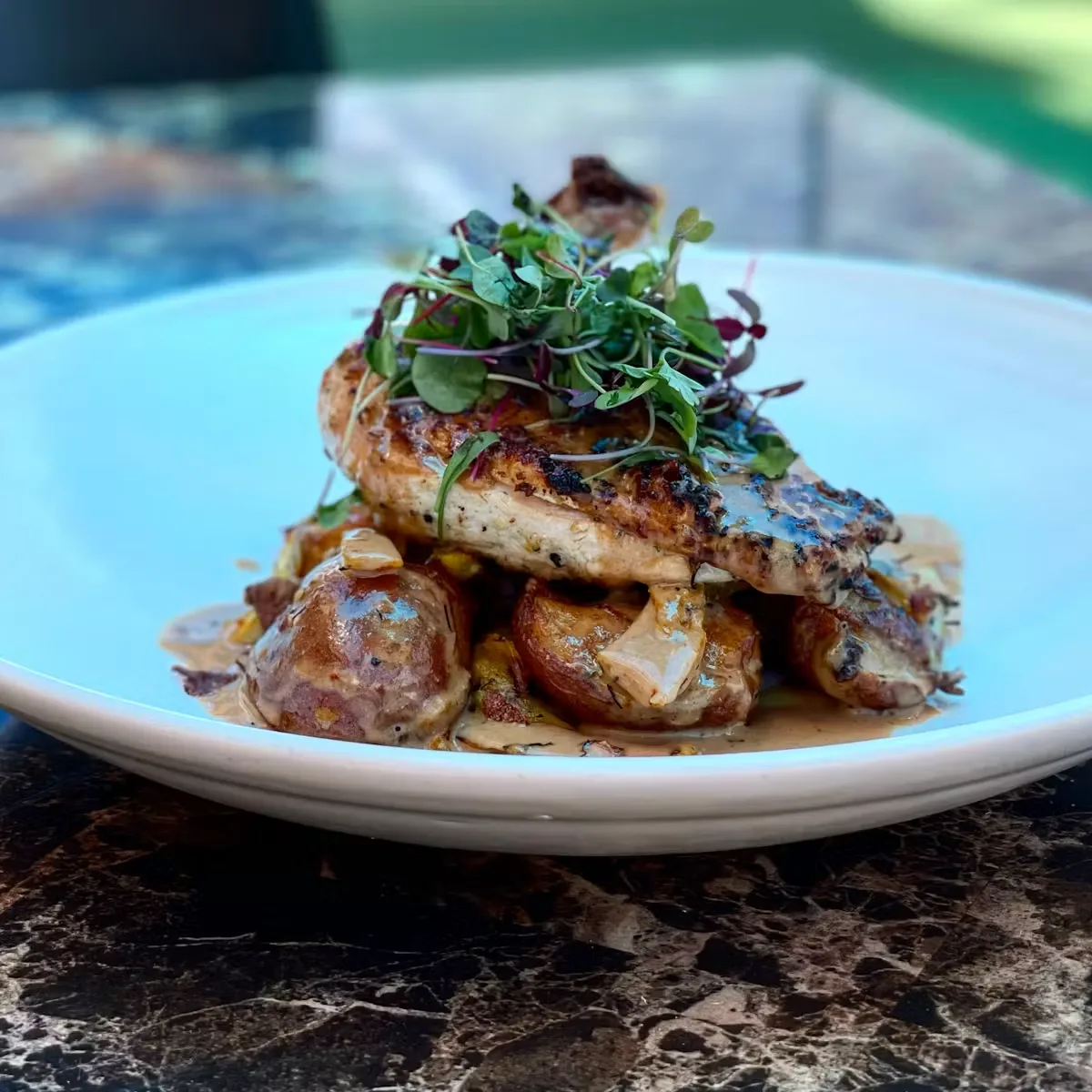 Zin American Bistro — photo 21