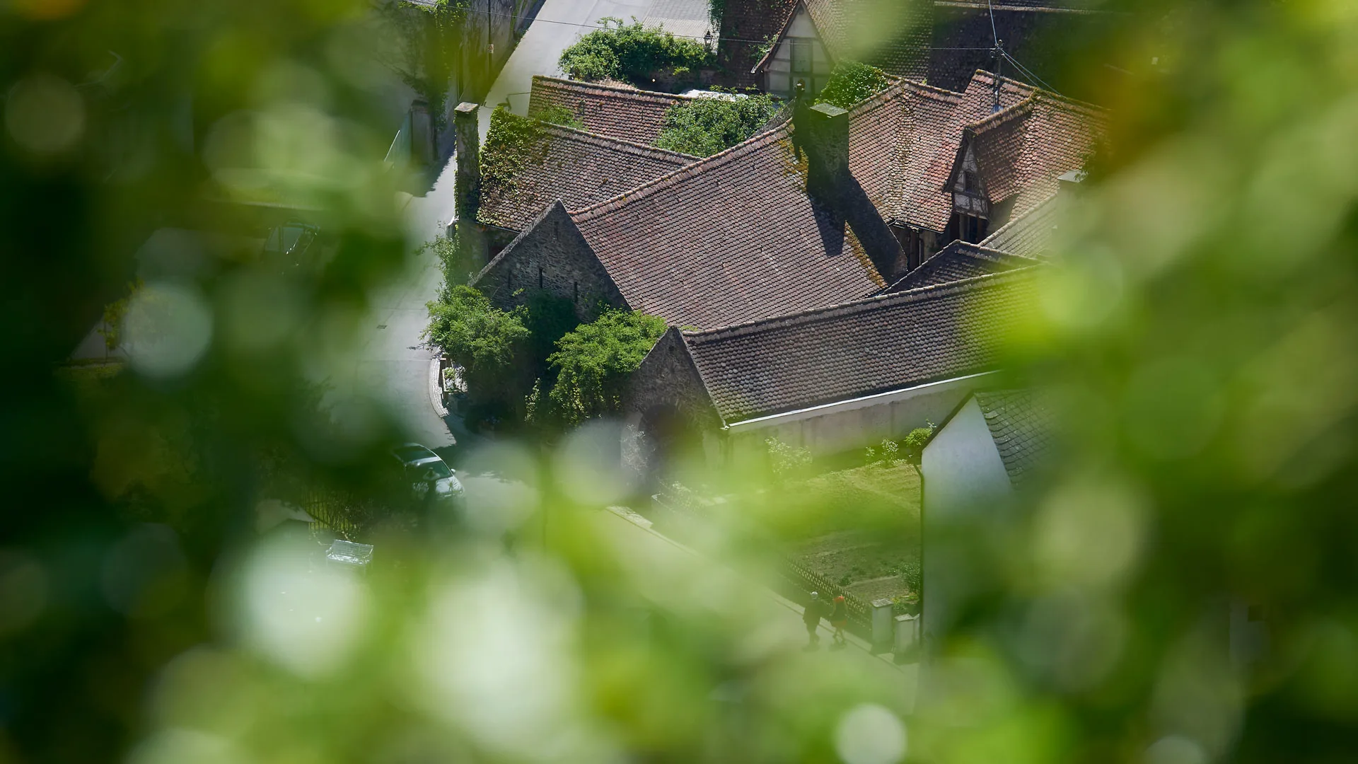 Alte Mühle Thomas Höreth — photo 20