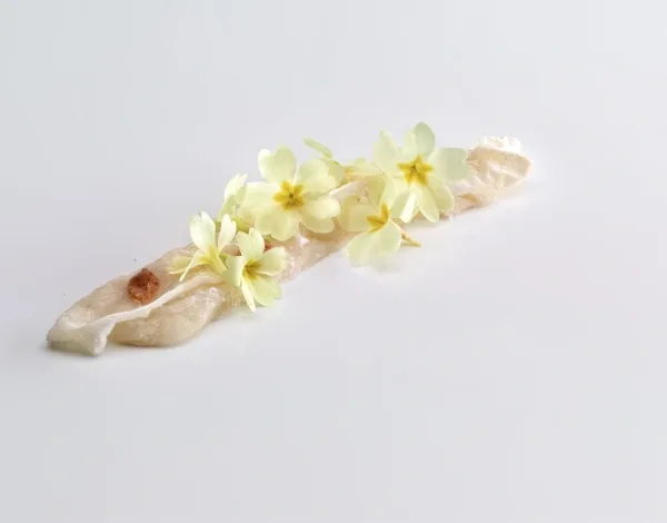 Mugaritz, Donostia / San Sebastián