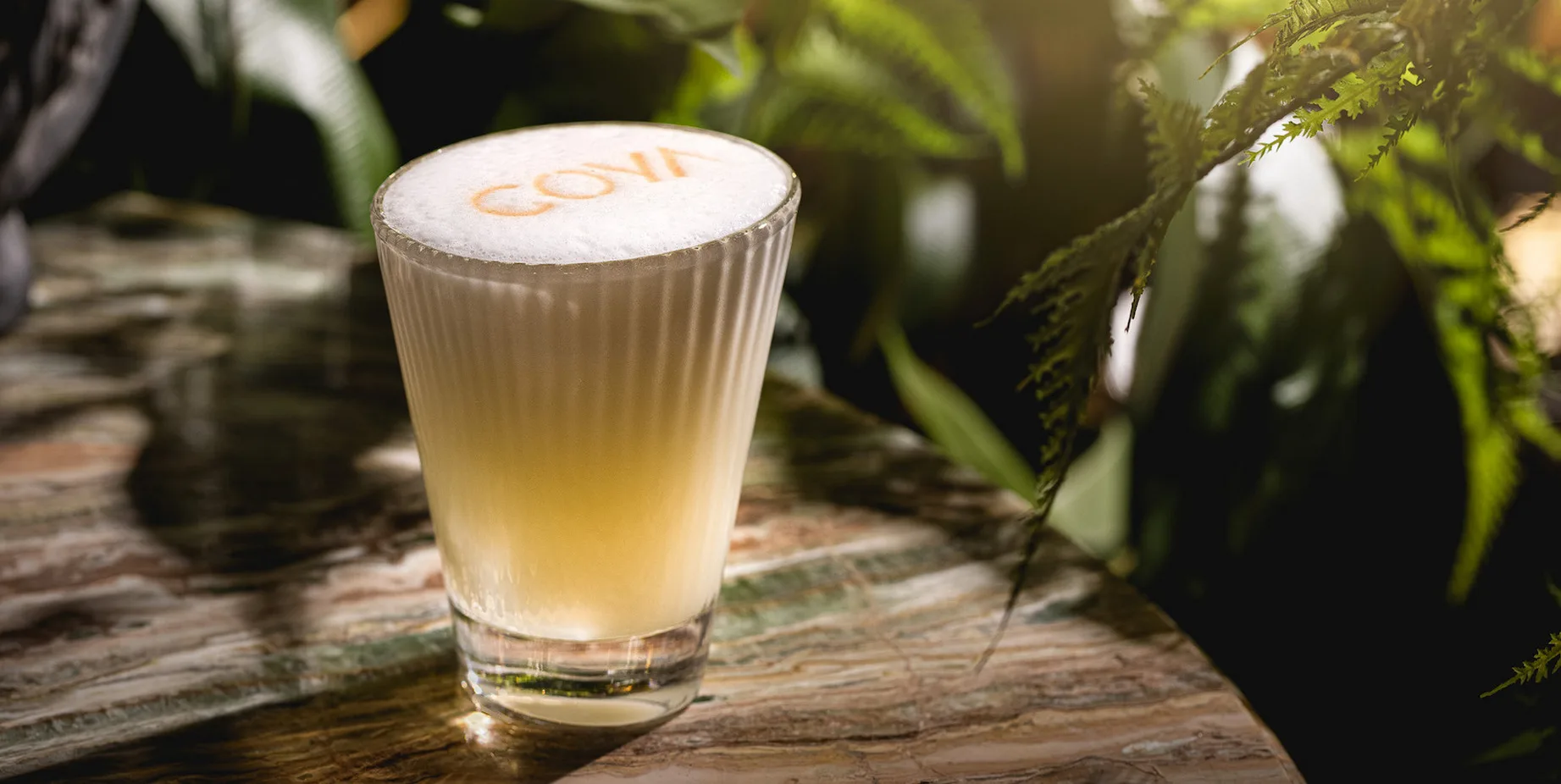Coya — photo 4