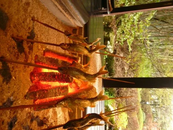 WATAYA — photo 46