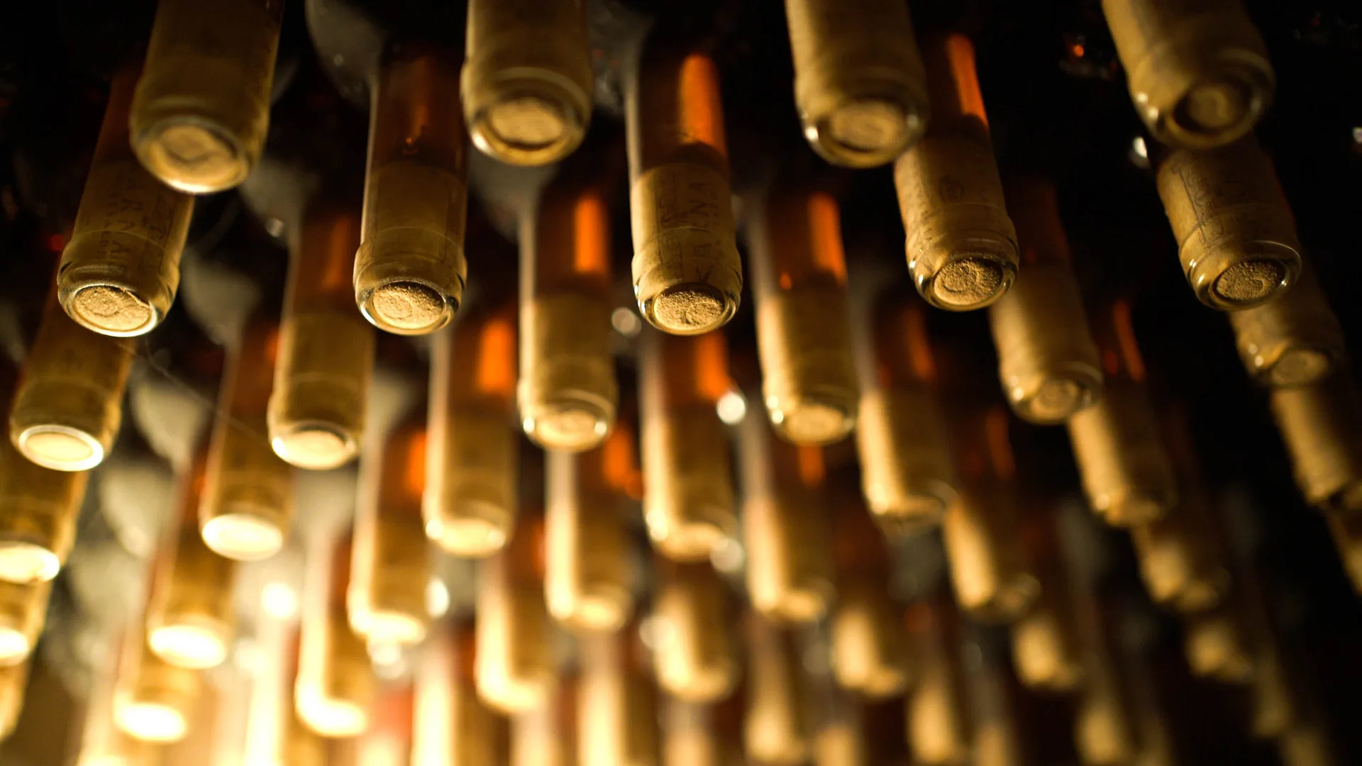 Karnas Vineyards — photo 8