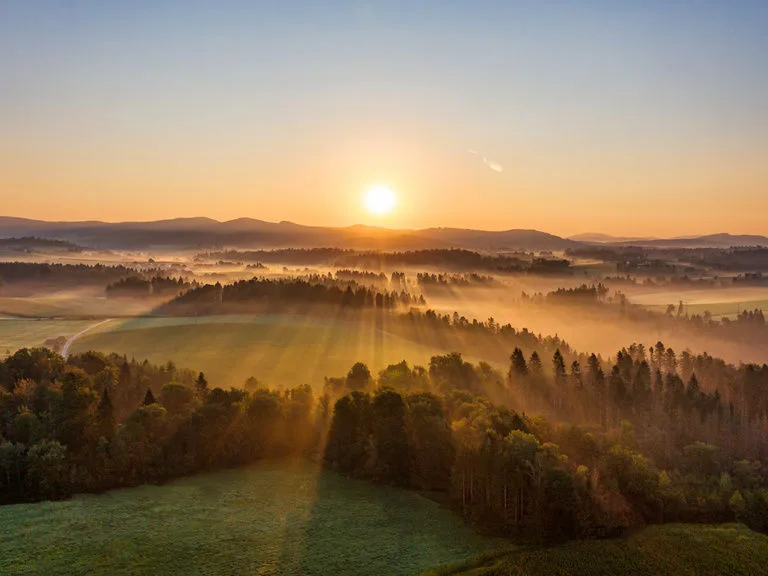 Gasthof Zum Bayerischen Wald — photo 9