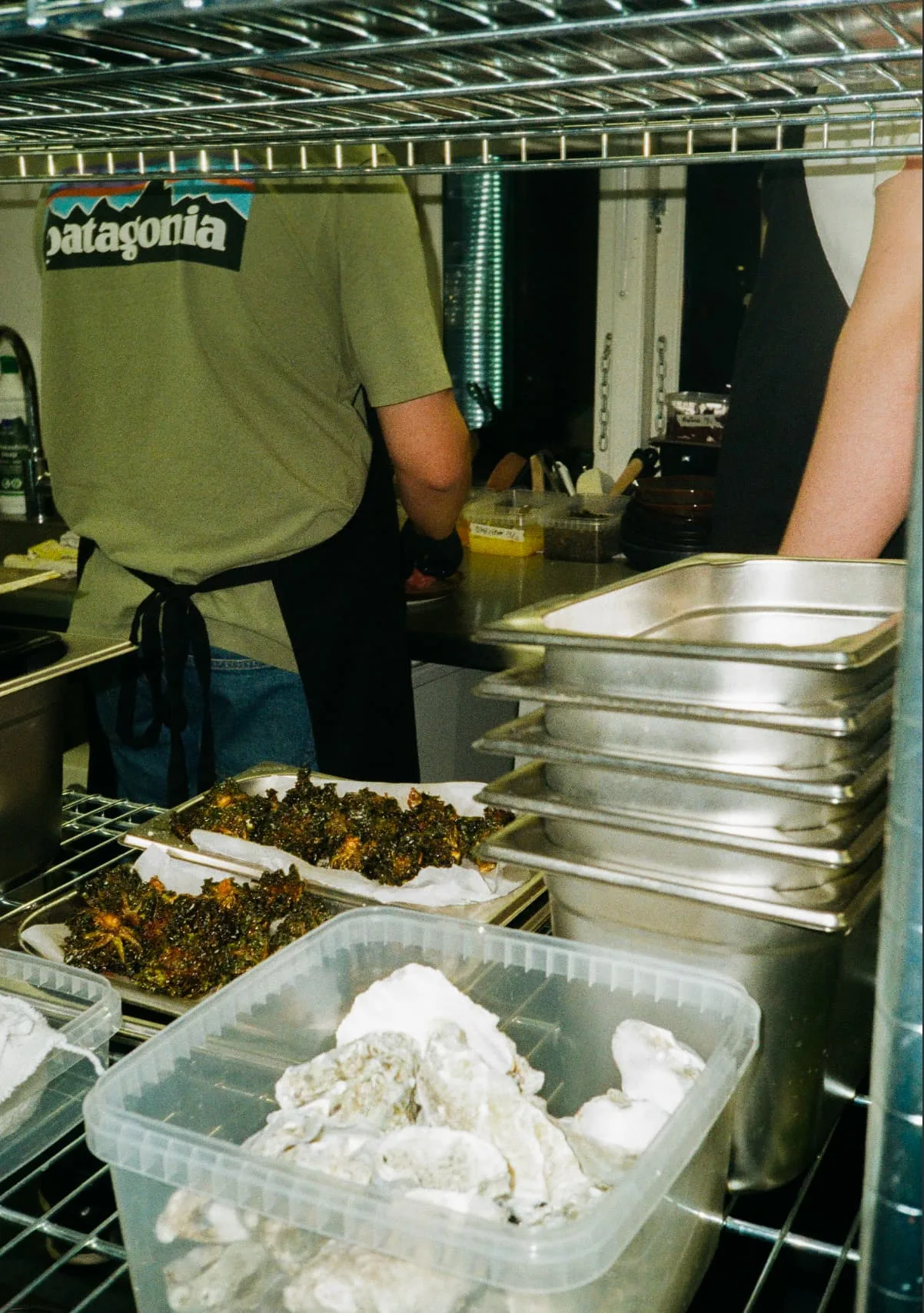 Noels — photo 17