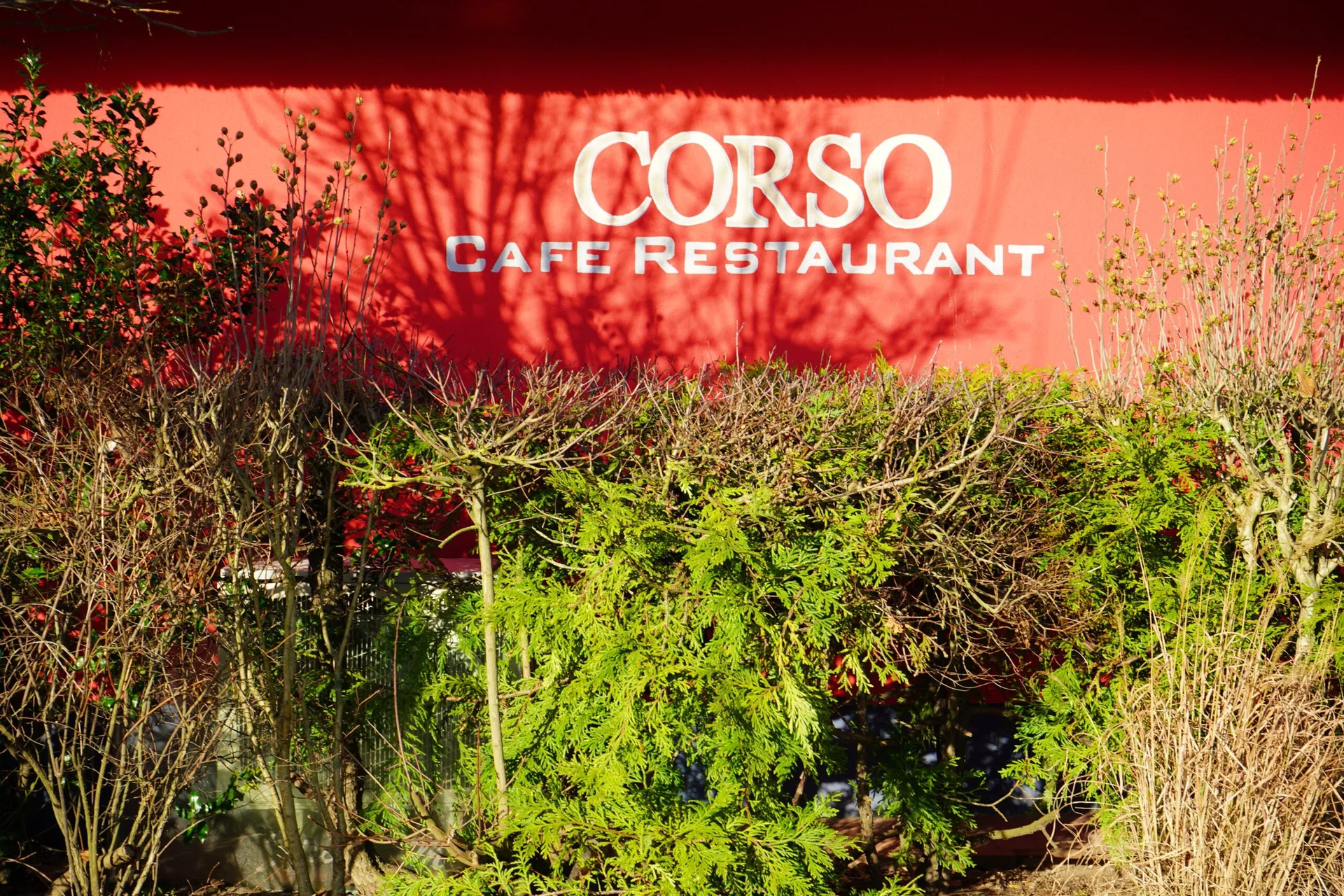 Strand Corso — photo 20