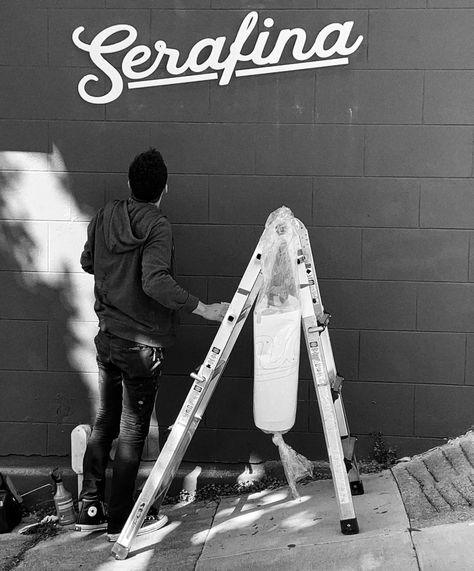 Serafina — photo 20