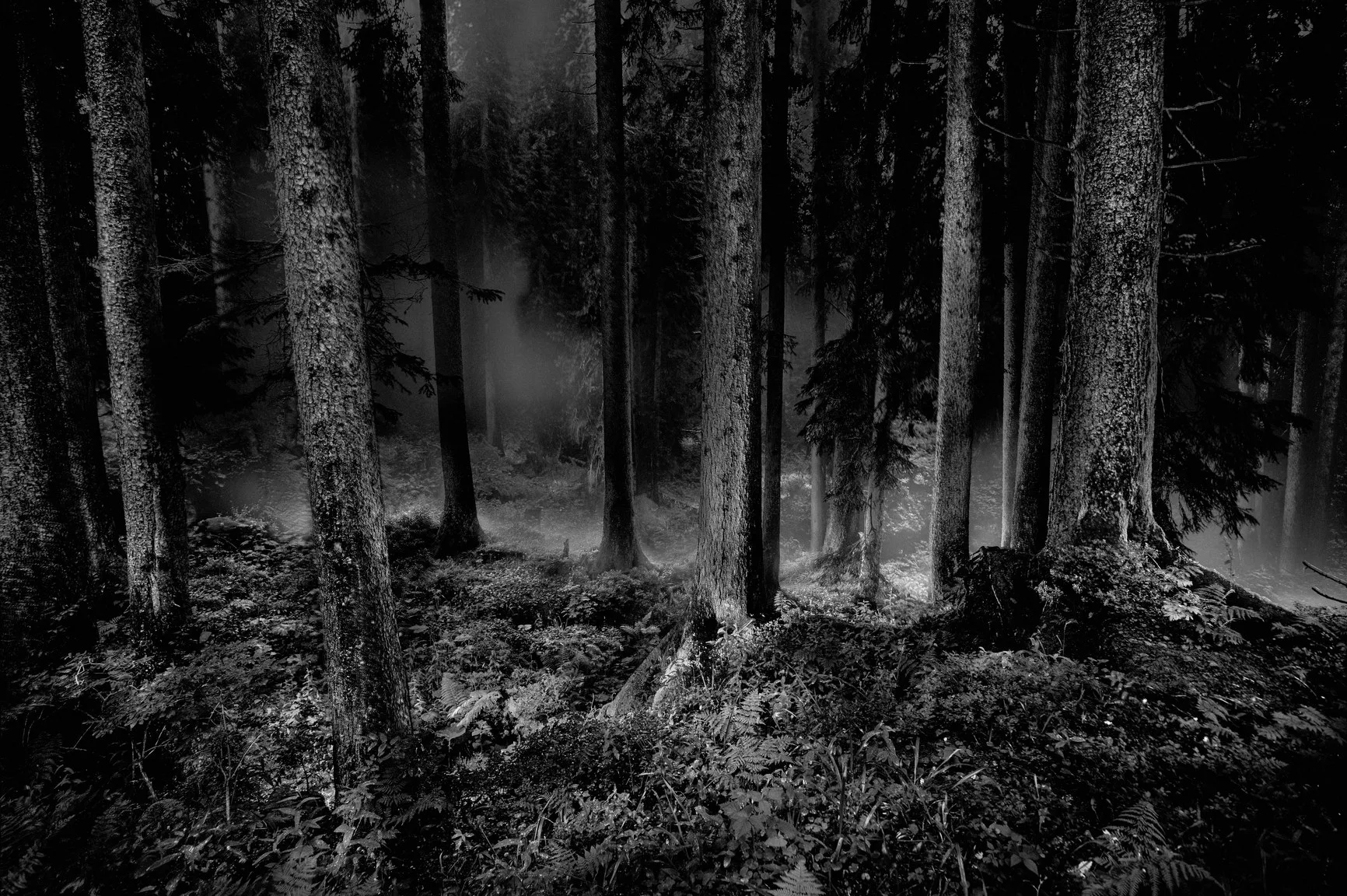 Storchen — photo 37
