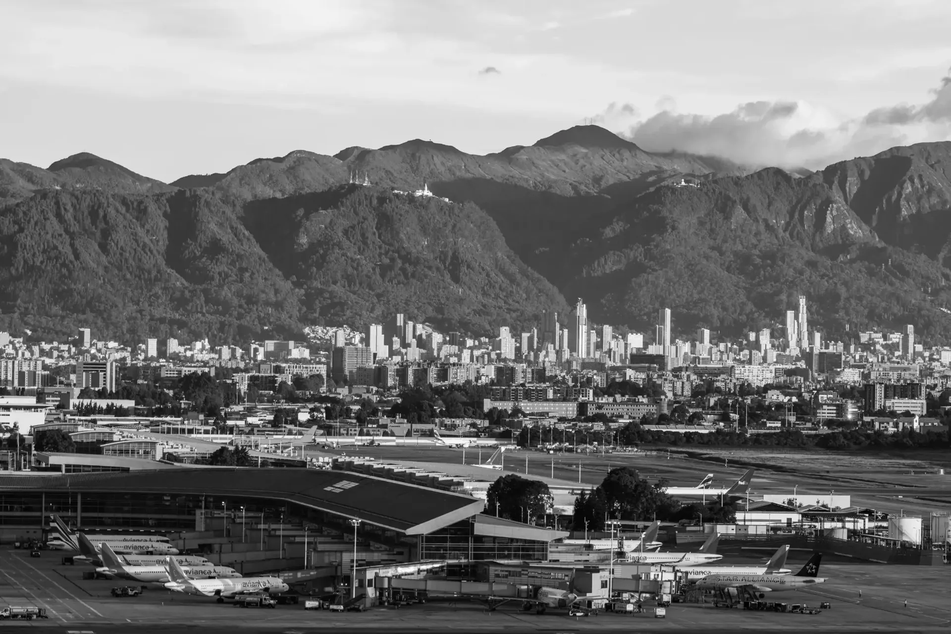 Bog, Bogotá