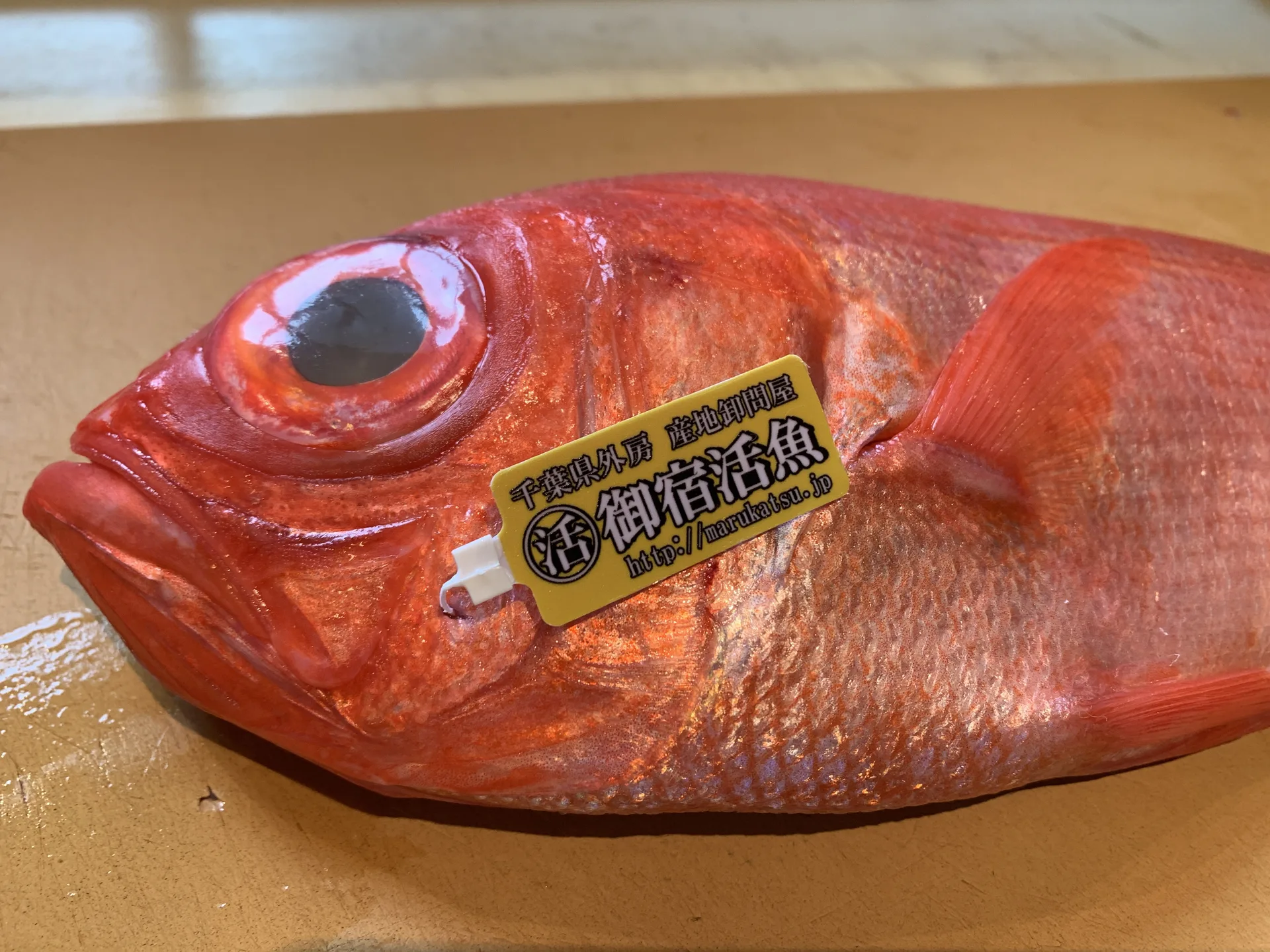 Osaki's — photo 10