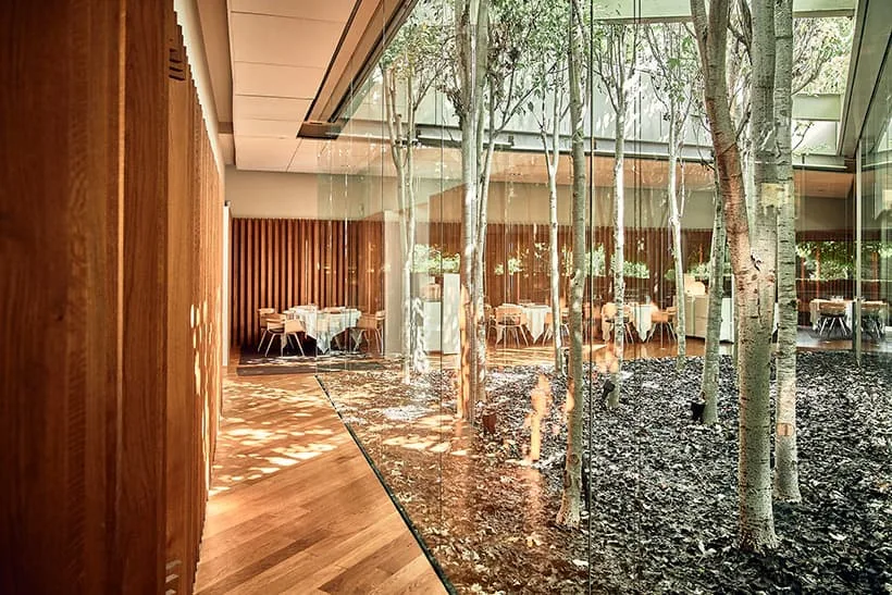 El Celler de Can Roca — photo 13