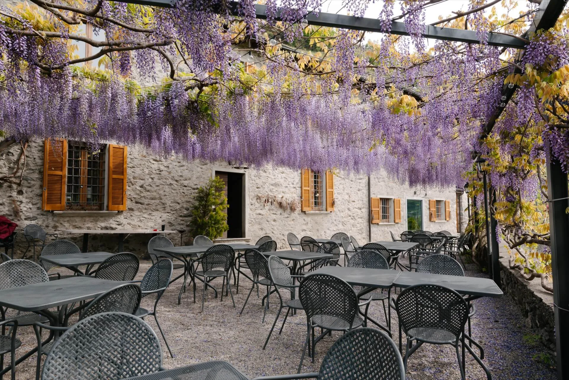 Fracia — photo 17