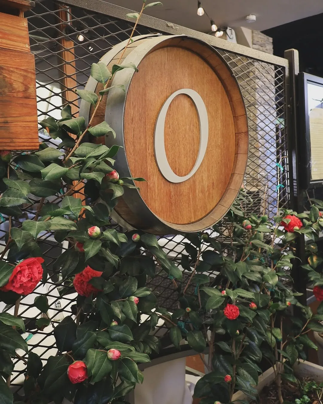 Oliver's Osteria — photo 8