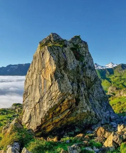 Geniesserstube im Alpenhof — photo 20