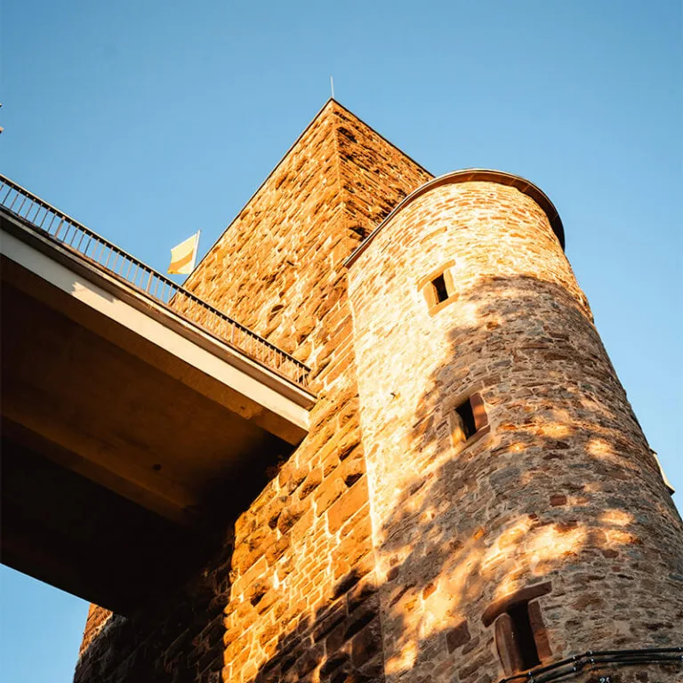 Anders auf dem Turmberg — photo 49