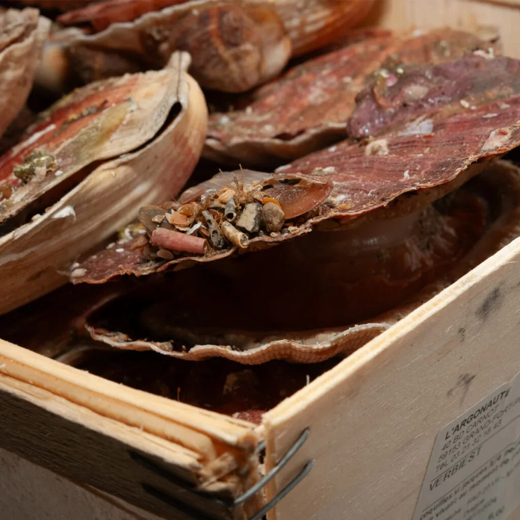 't Witte Goud — photo 10
