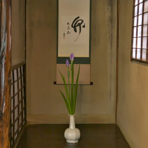 Hyotei — photo 22