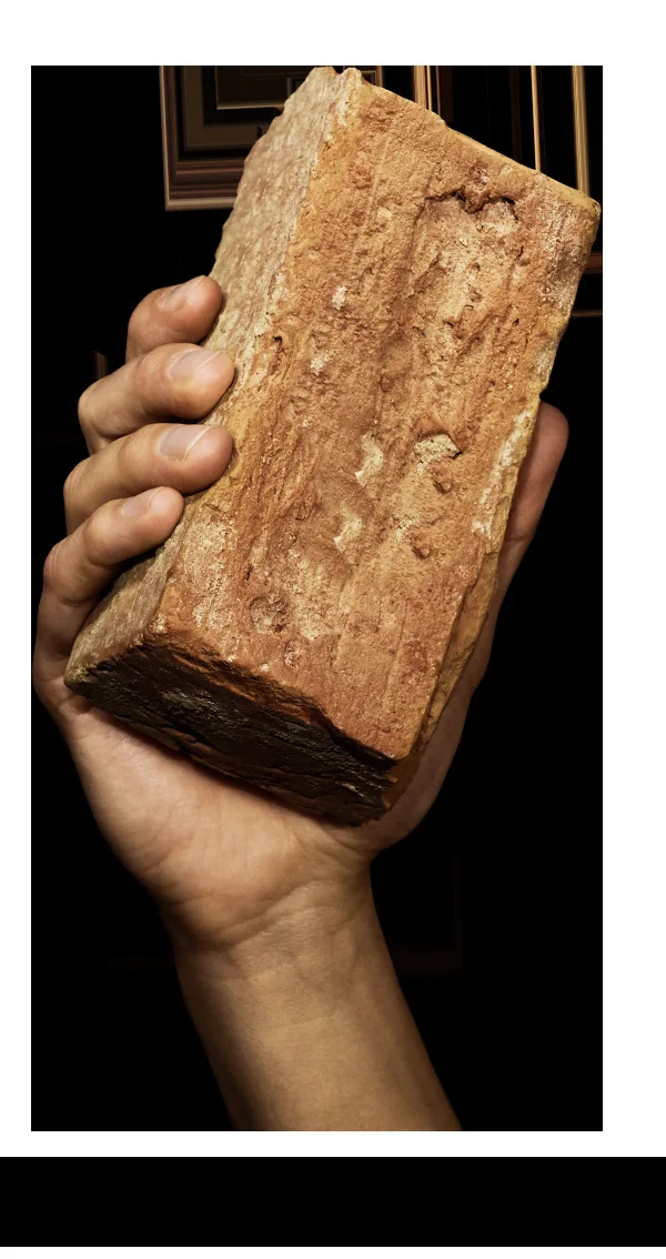 Brick &amp; Bone — photo 32