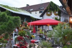 Kininger’s Hirsch — photo 16