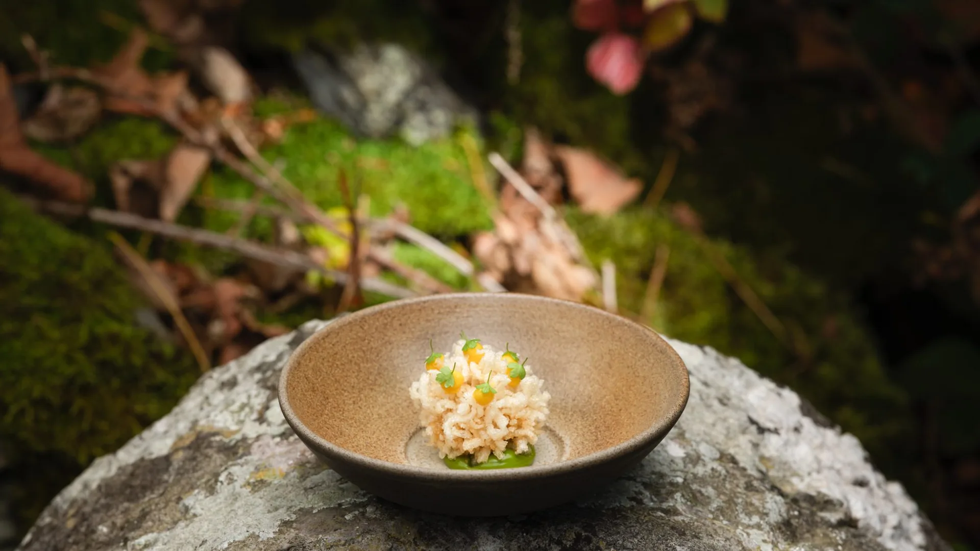 L'Enclume — photo 4