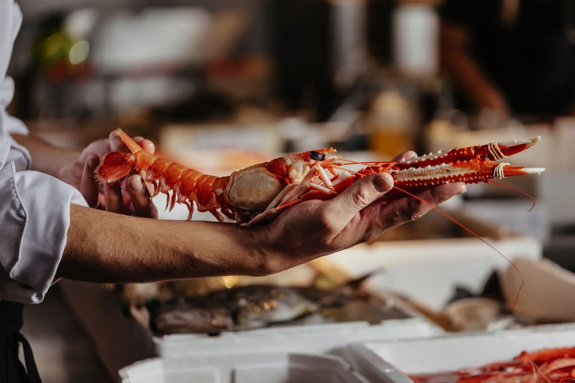 Estimar Madrid — food