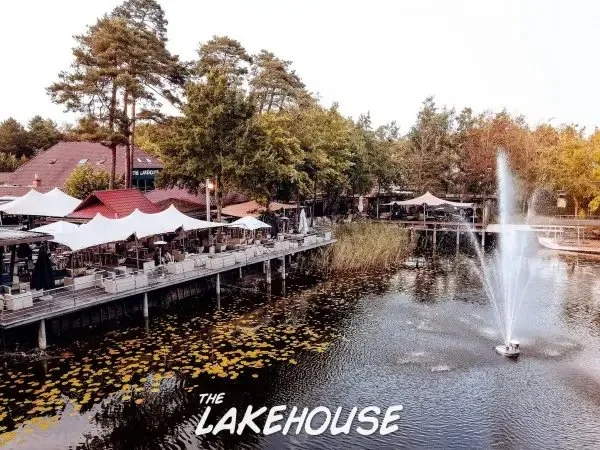 Qin — photo 11