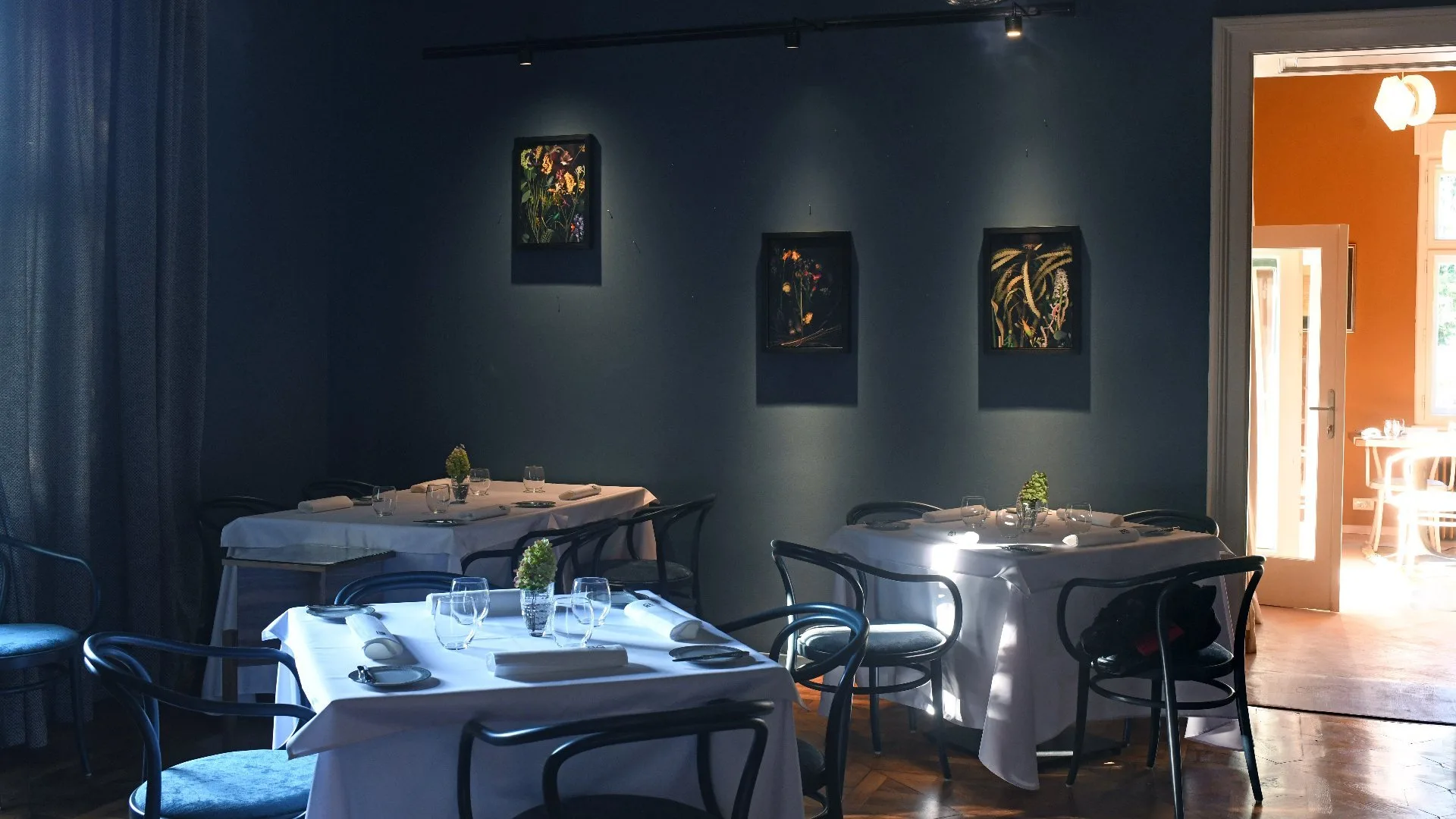 PEN KLUB Restavracija — photo 13