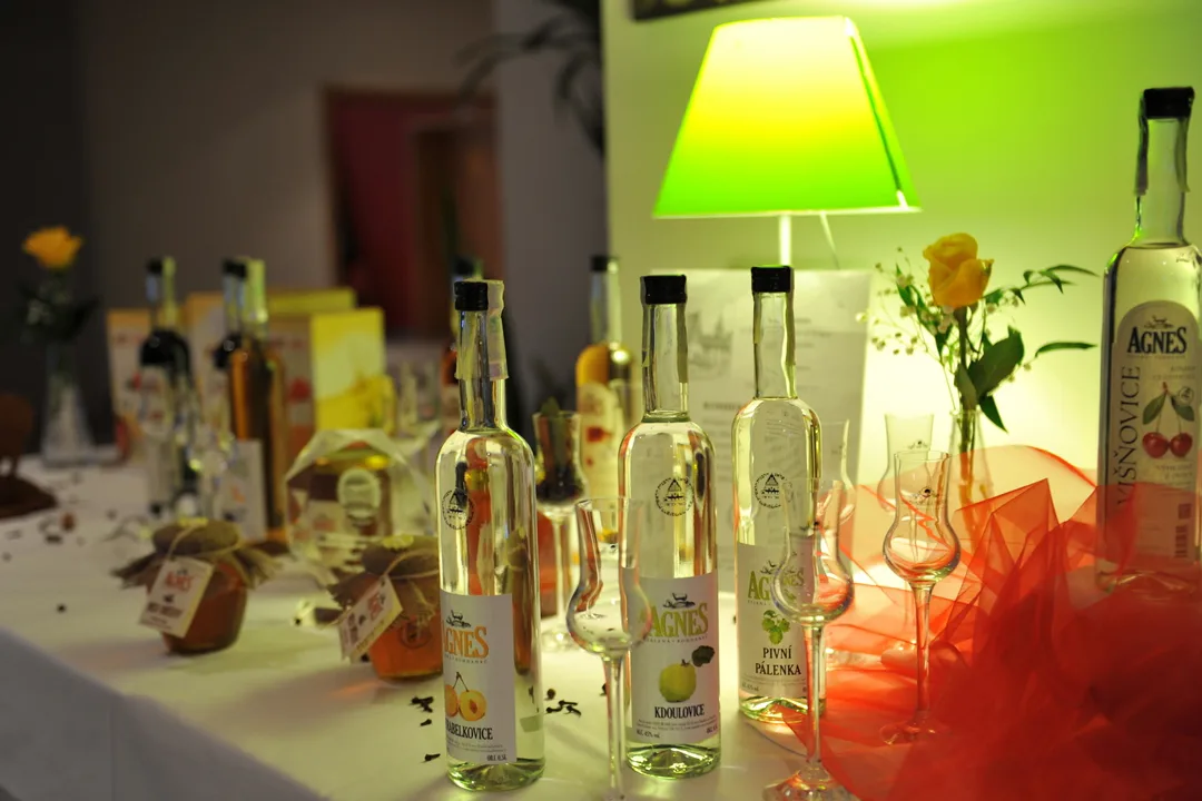 Restaurace a Hotel Agnes — photo 8