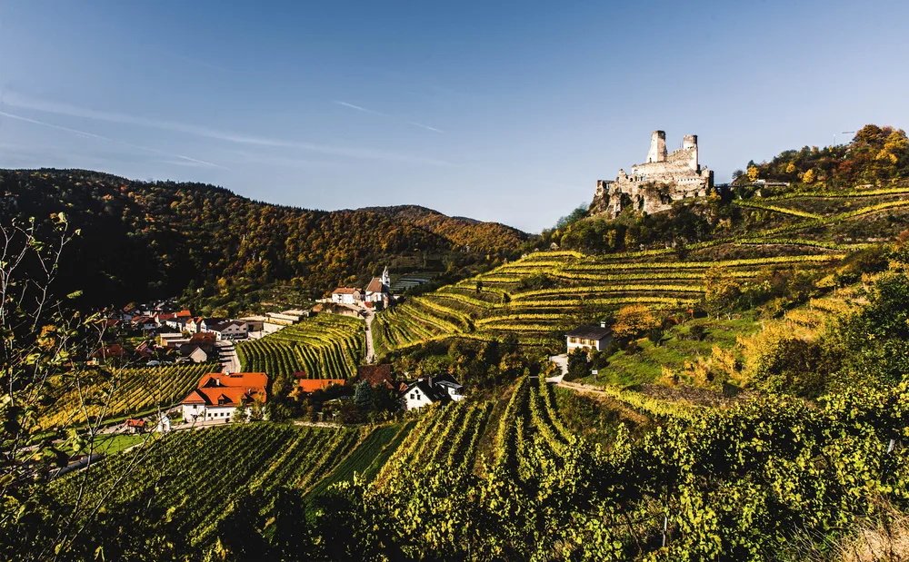 Weingut Nigl — photo 53